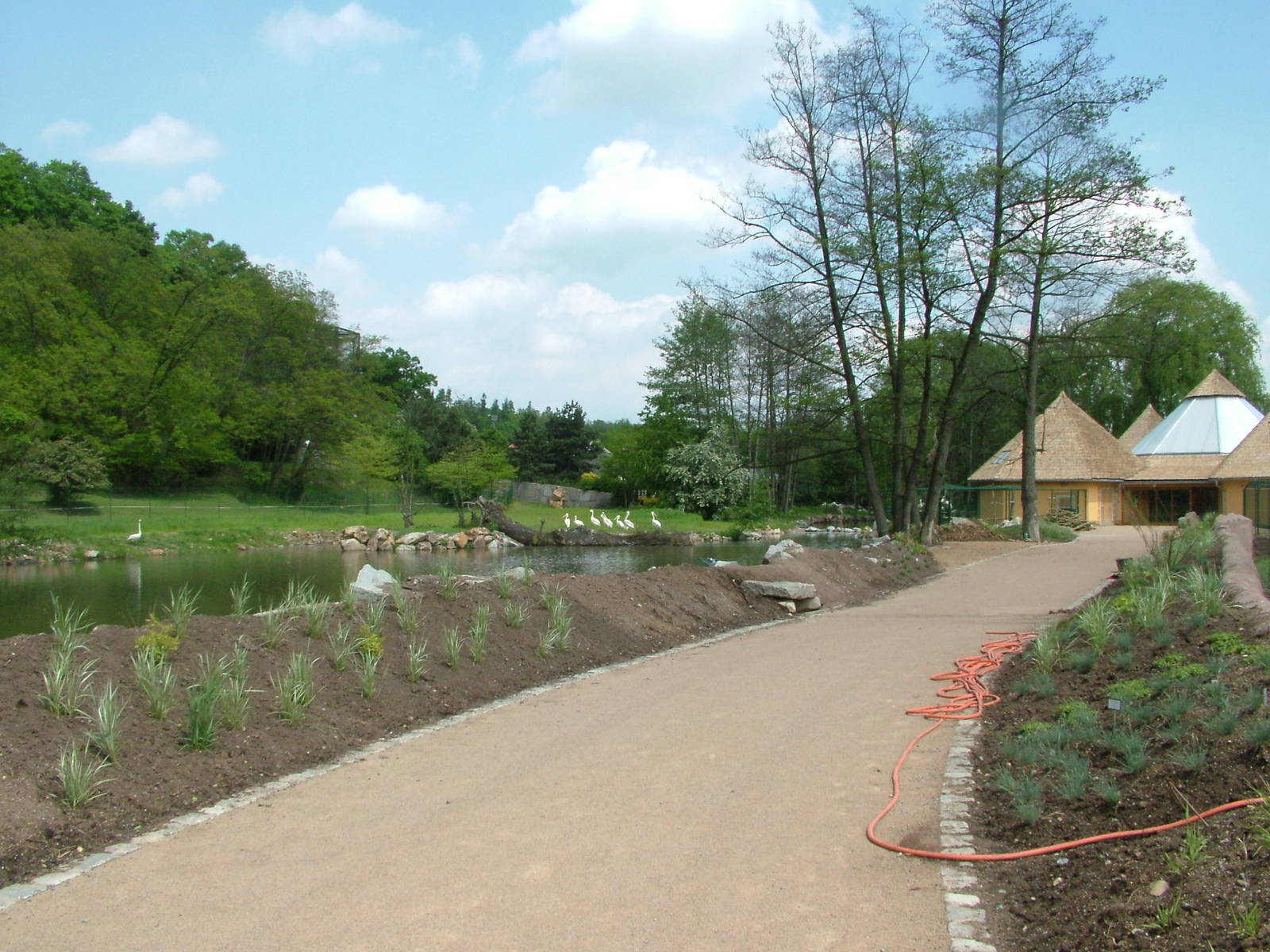 New pelican area outside Hippo House at Plzen, 25/05/10