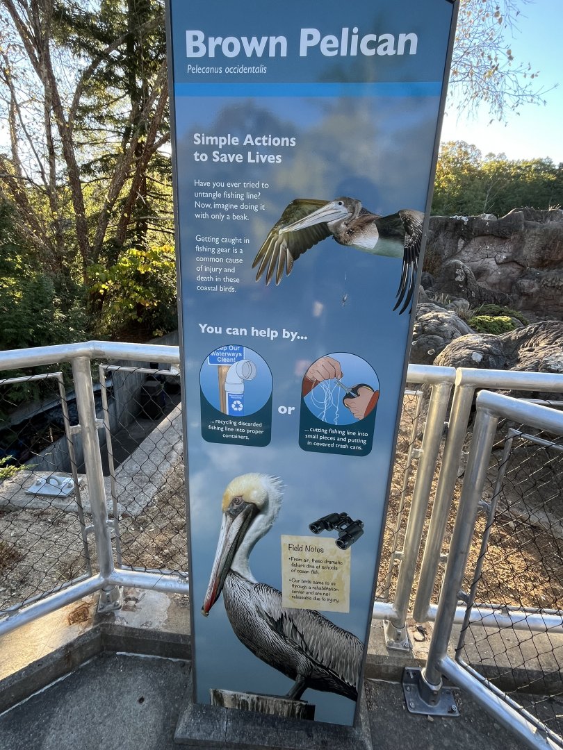 New Pelican Signage