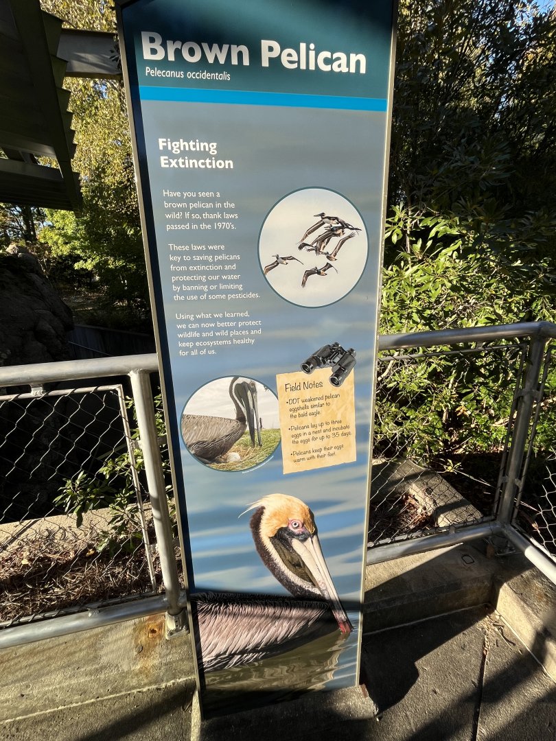 New Pelican Signage