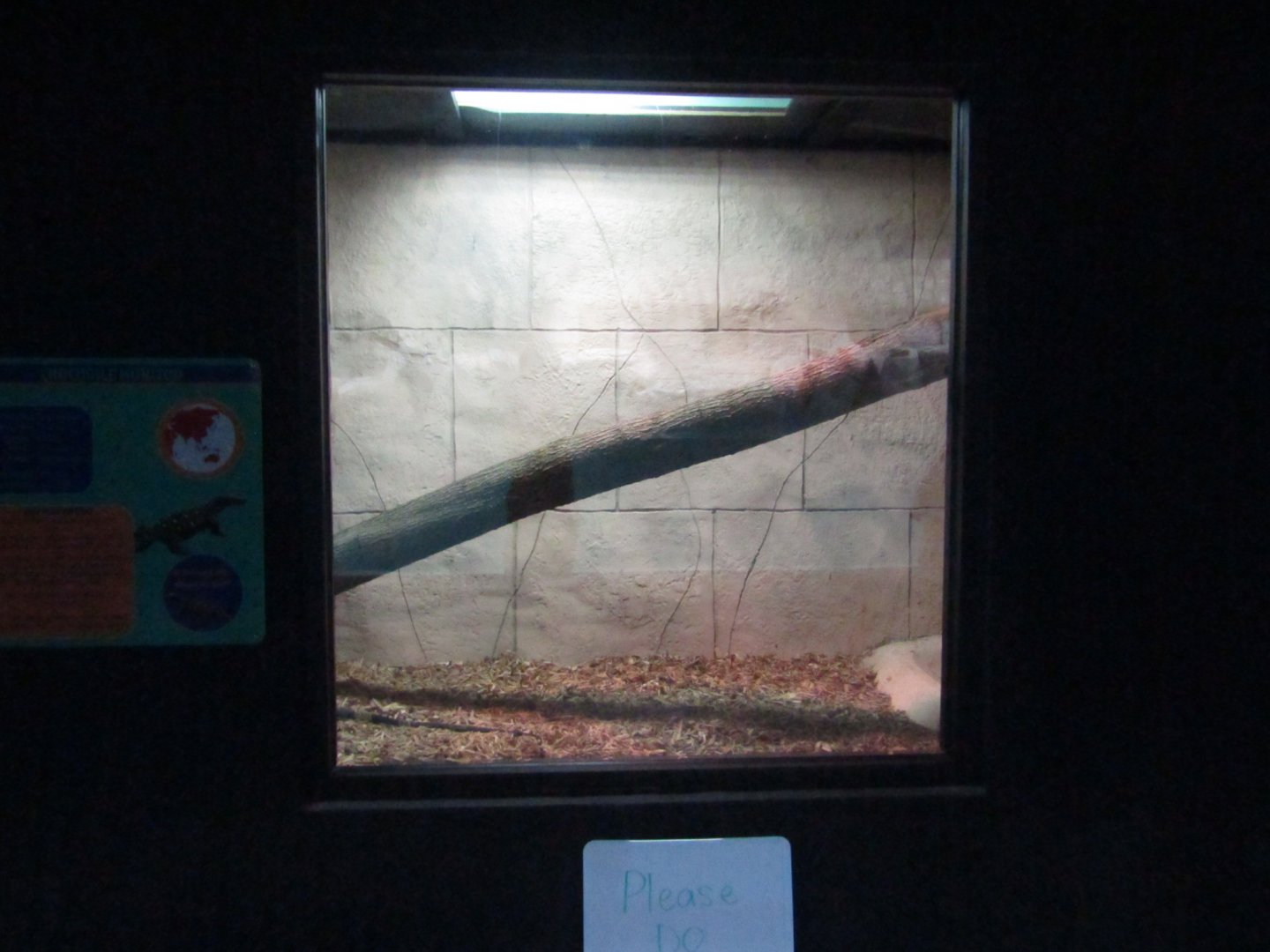 New Penguin Cove - Crocodile Monitor Exhibit