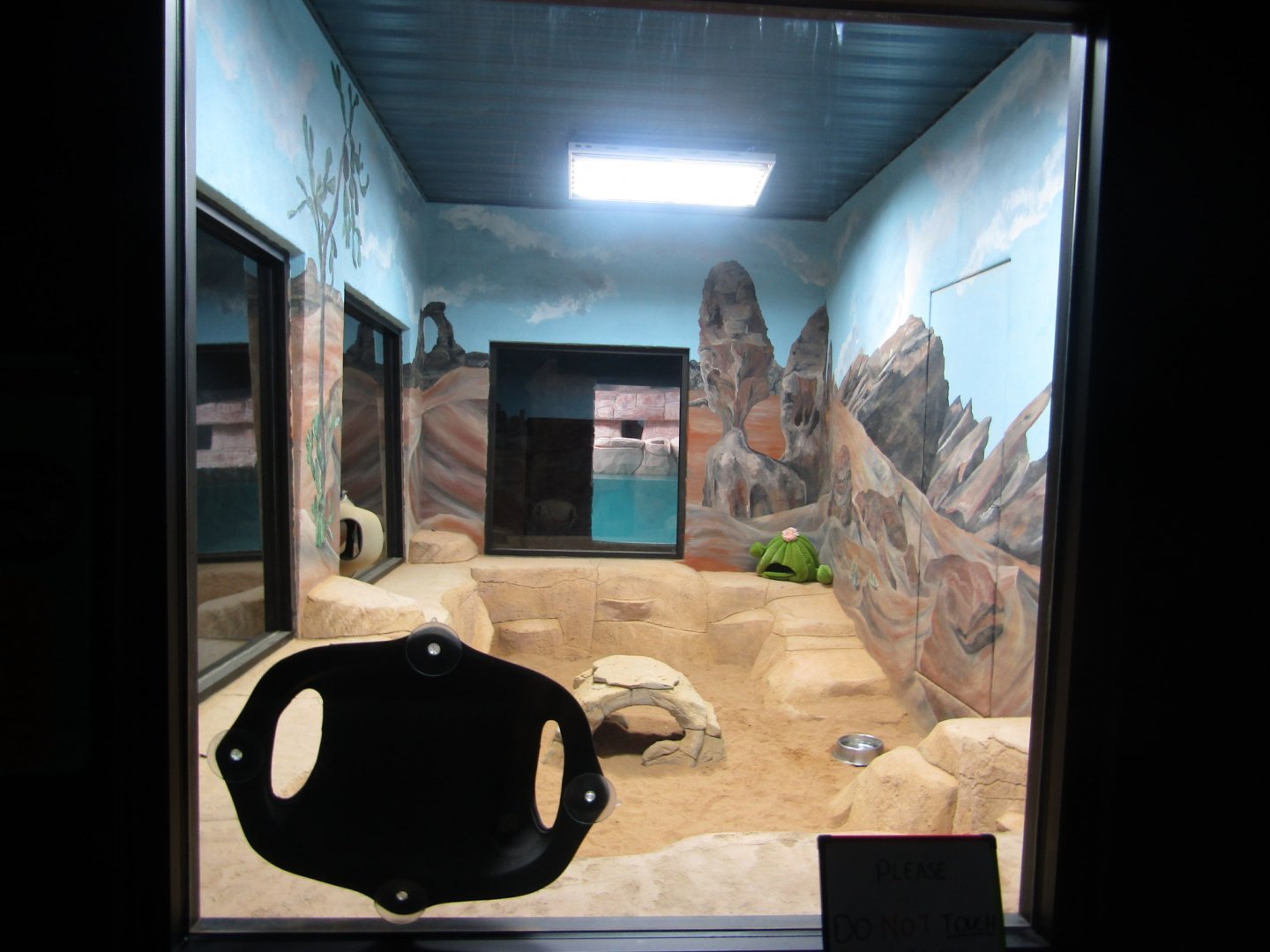 New Penguin Cove - Fennec Fox Exhibit