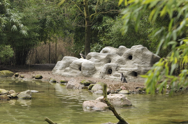 New penguin-enclosure at Hagenbeck