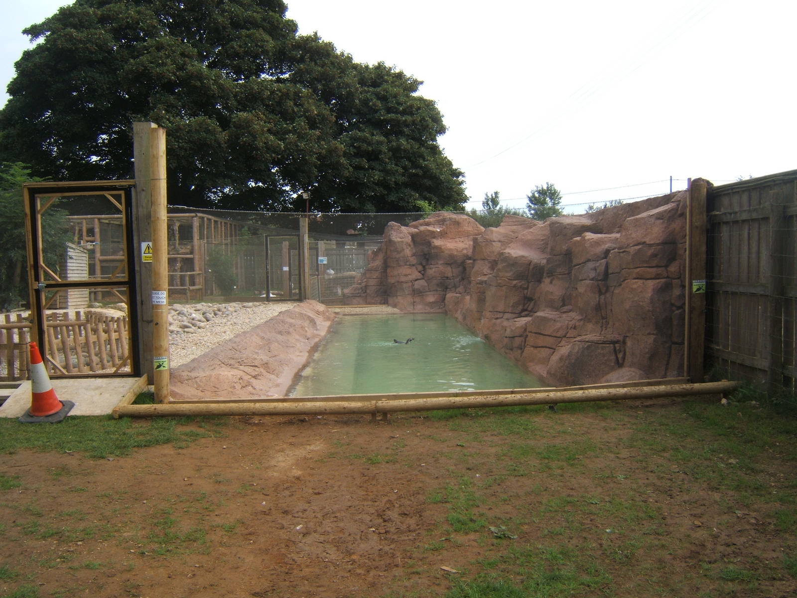 New Penguin enclosure