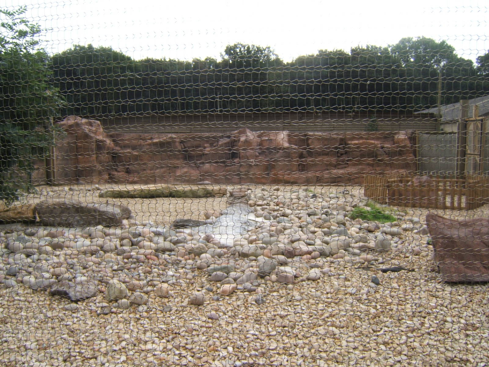 New Penguin enclosure