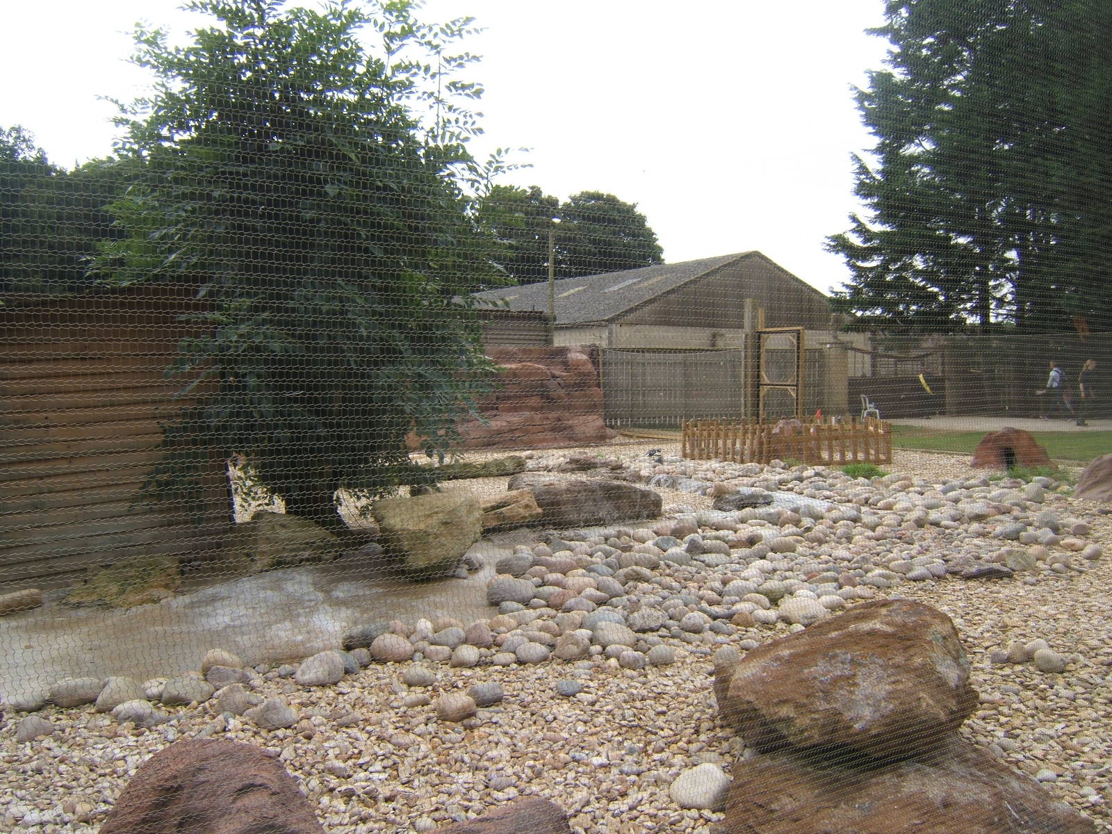 New Penguin enclosure