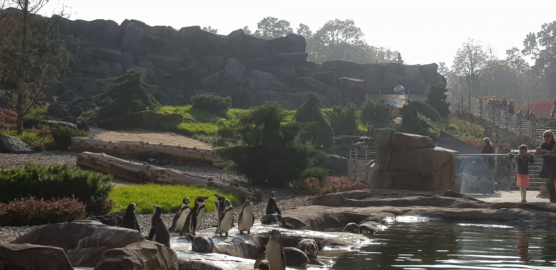 New penguin enclosure