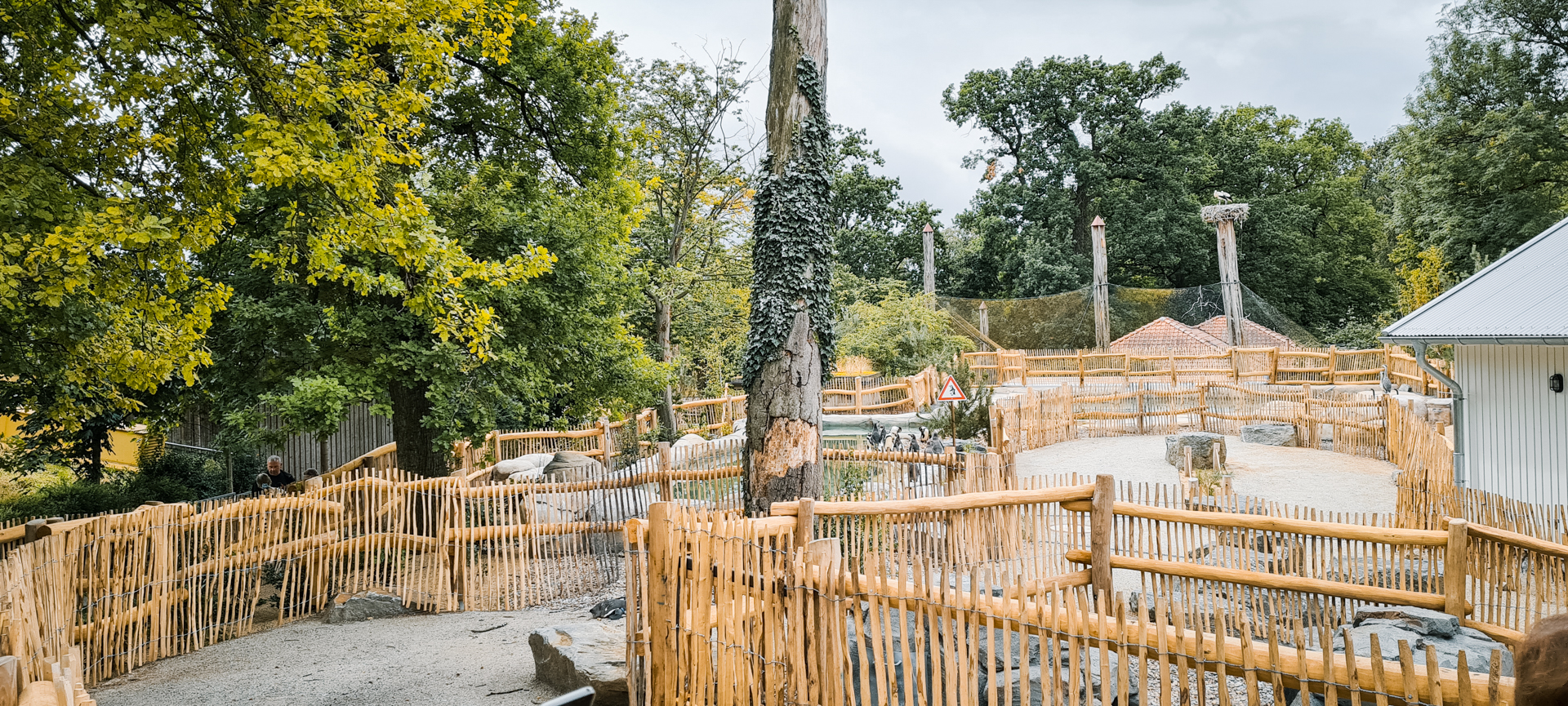 New penguin enclosure