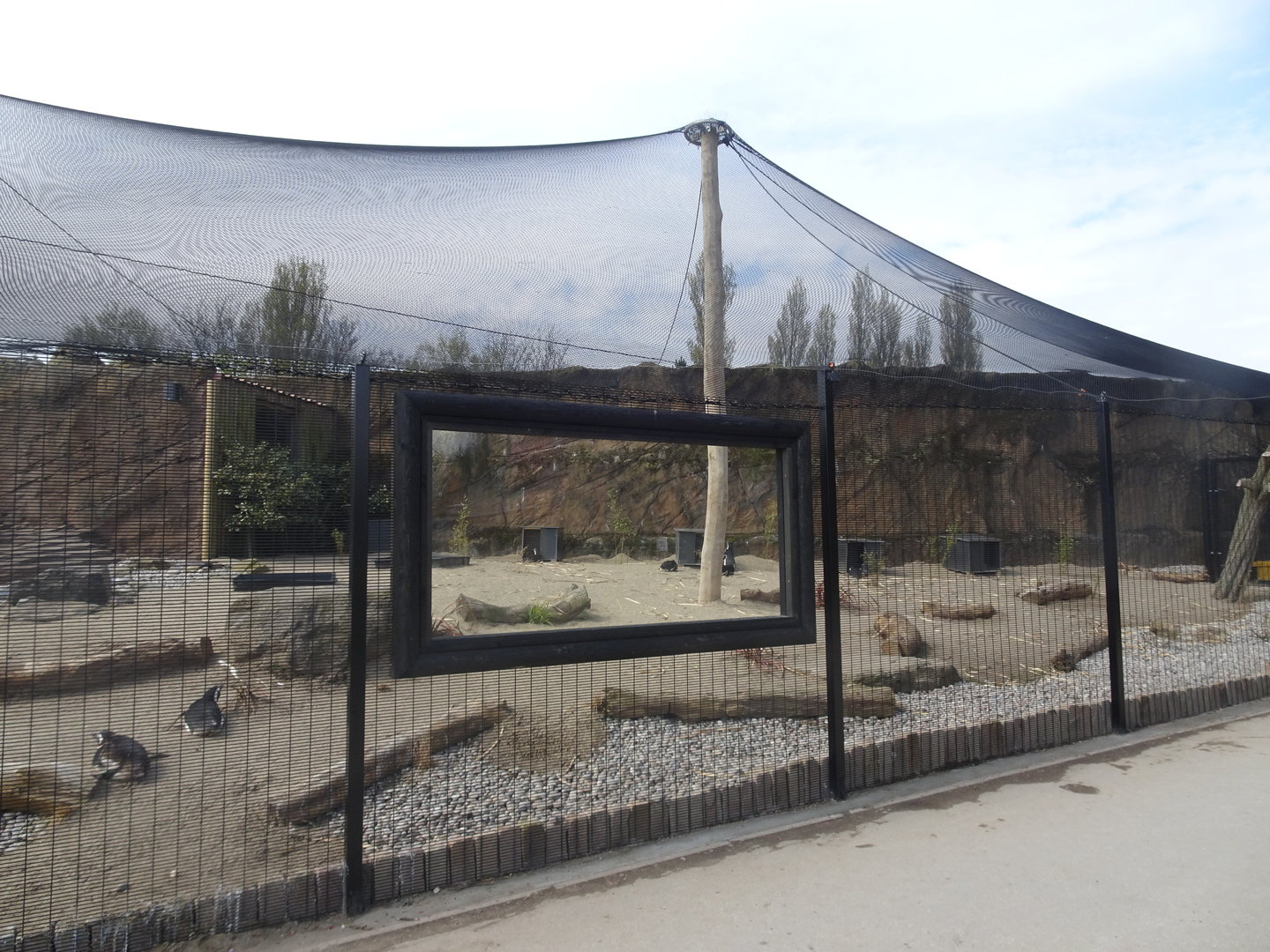 New Penguin Enclosure