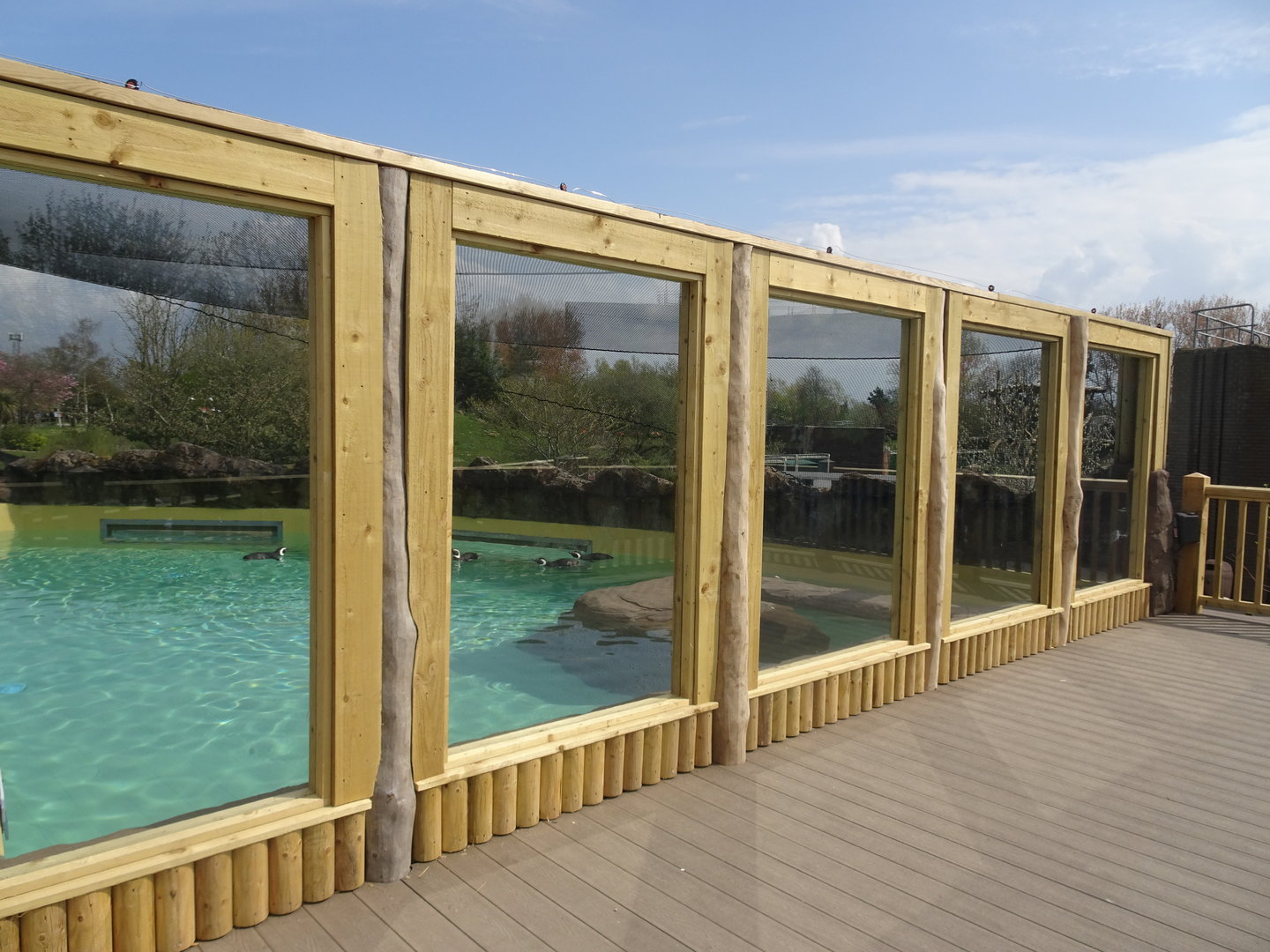 New Penguin Enclosure