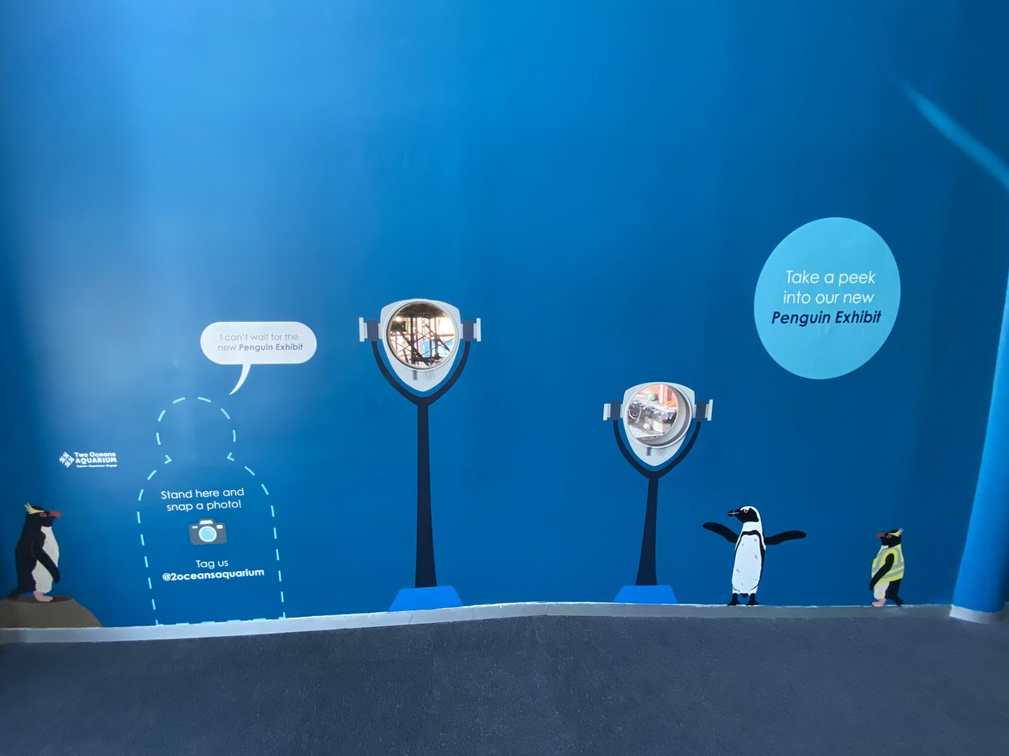 New penguin enclosure