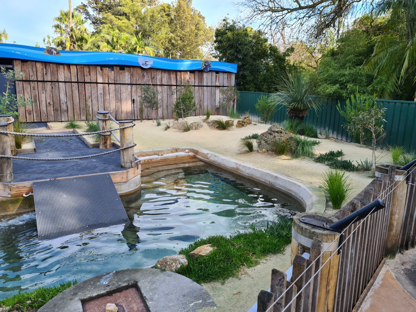 New Penguin exhibit at the entrance