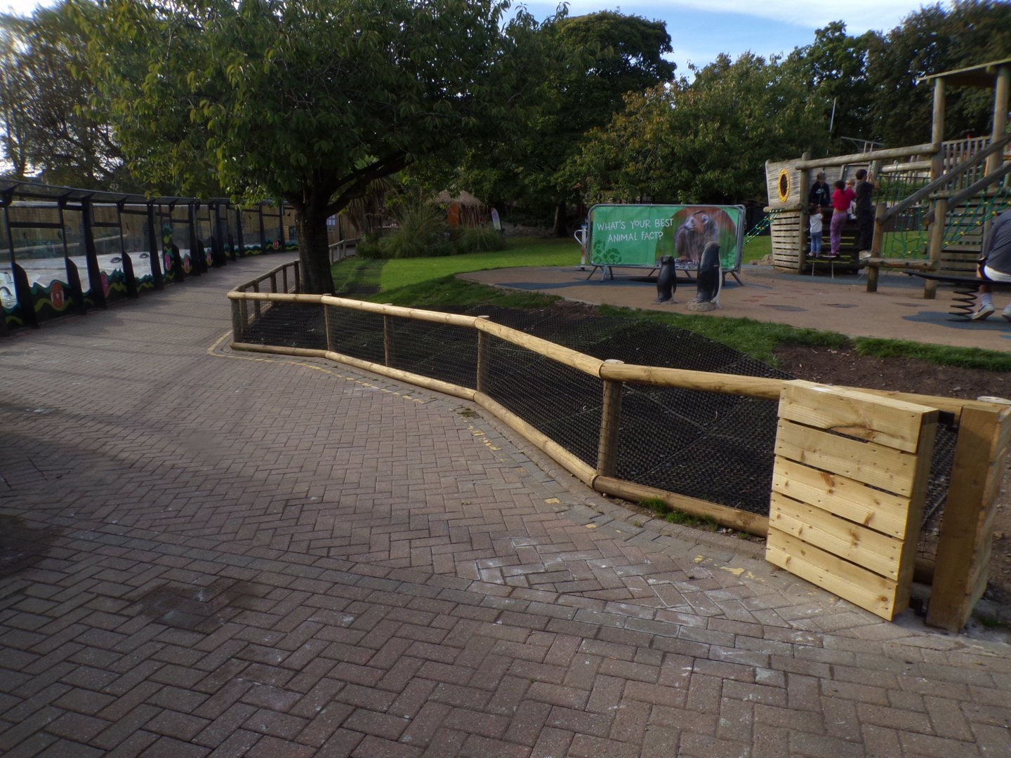 New penguin parade area 16.9.24