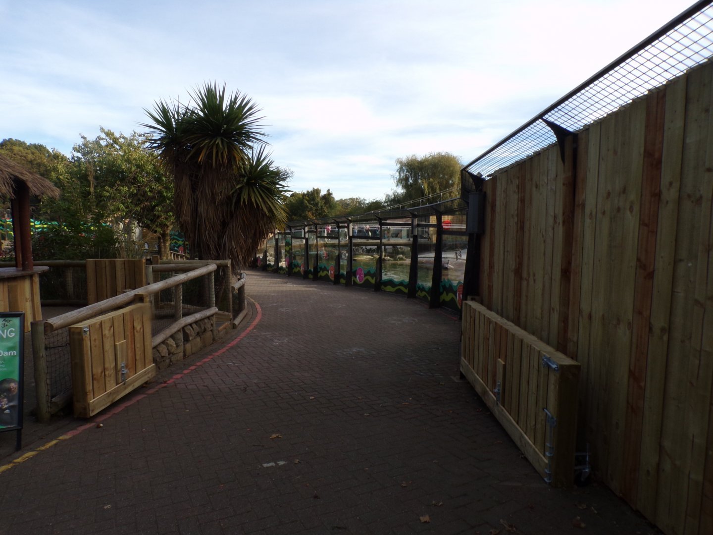 New penguin parade area 16.9.24