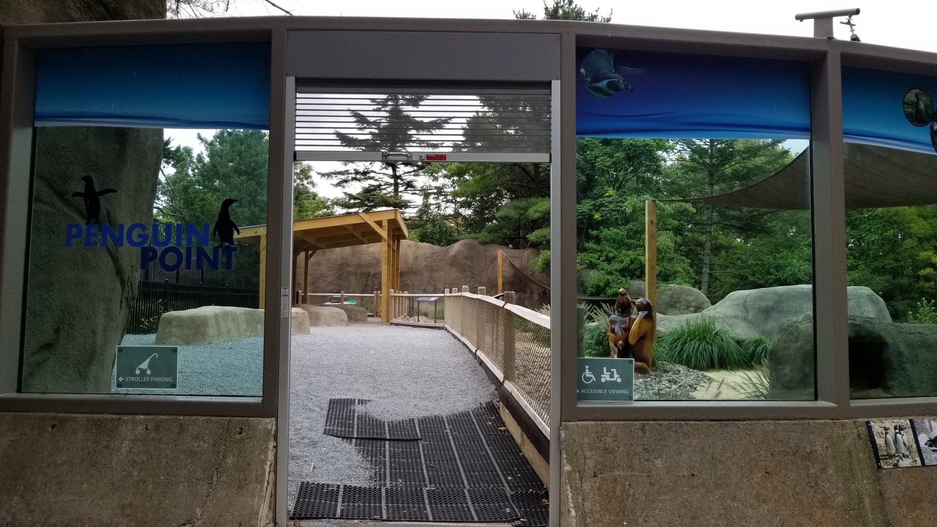 New Penguin Point viewing platform