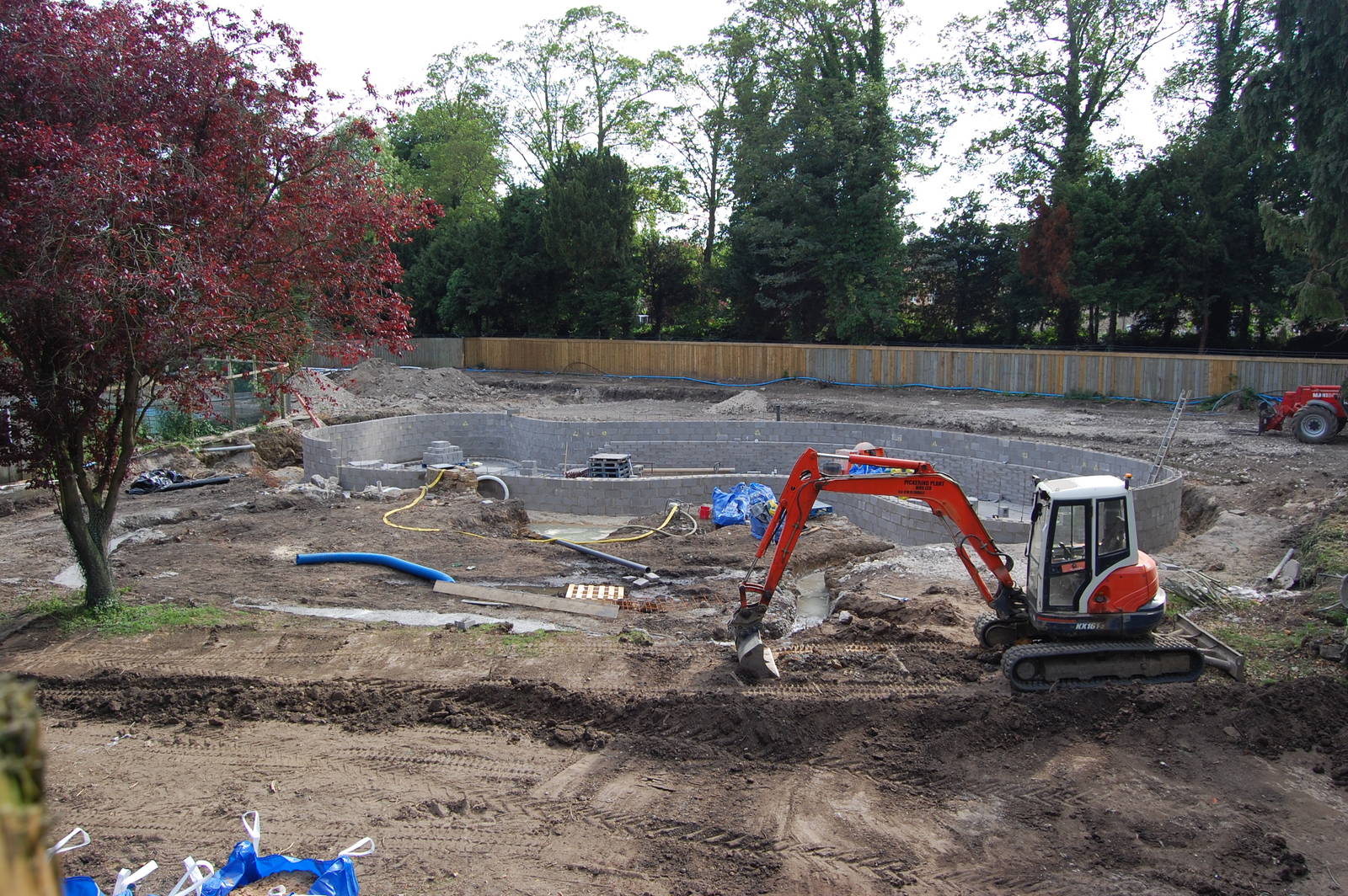 New penguin pool at Flamingo Land