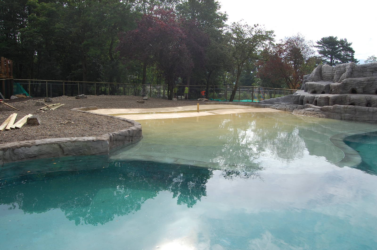New penguin pool