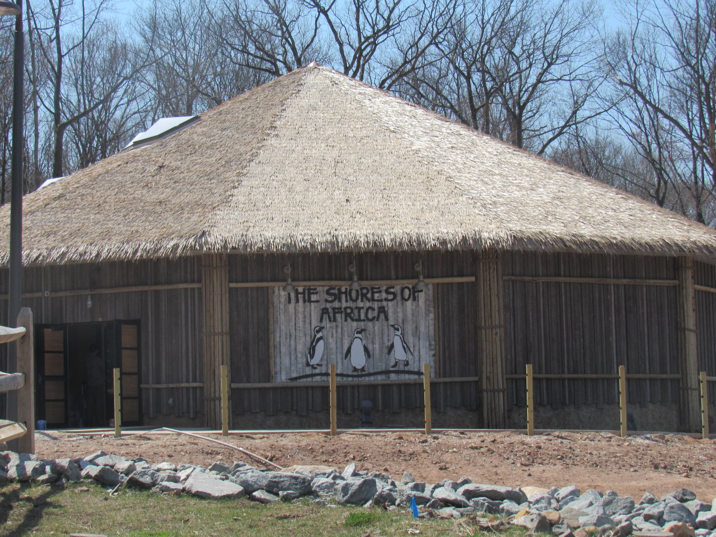 New Penguin Shores of Africa Exhibit
