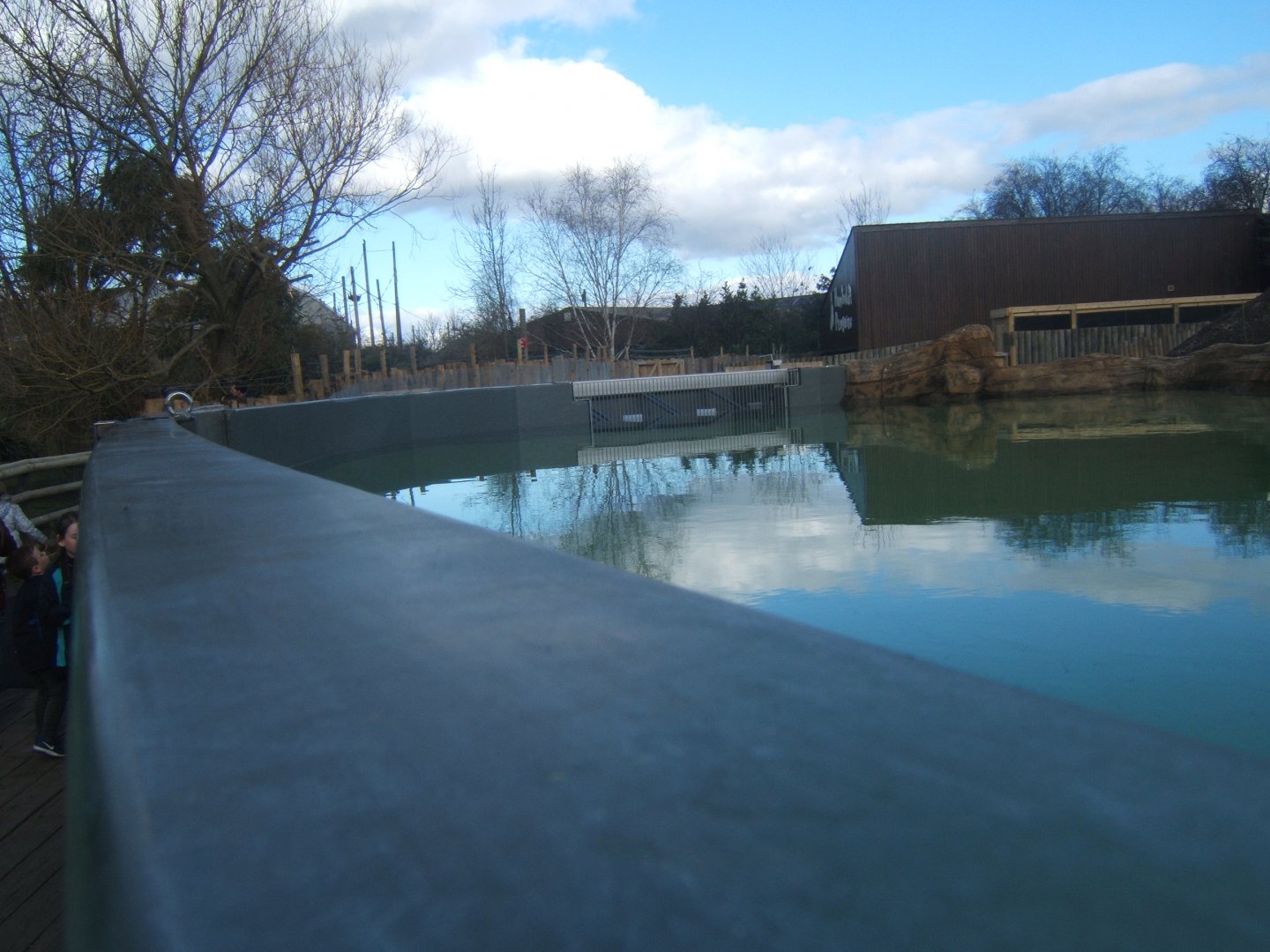 New Penguin viewing window 17/02/2018