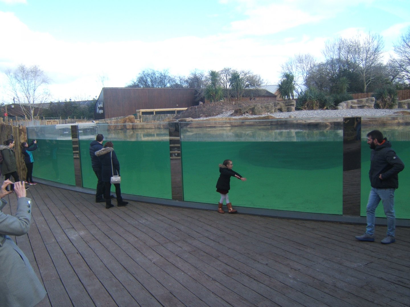 New Penguin viewing window 17/02/2018