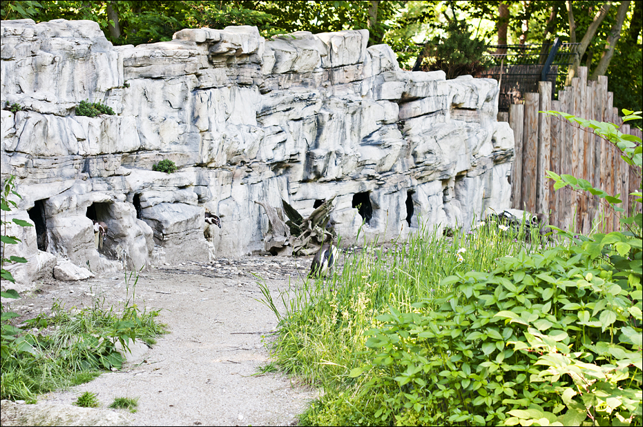 New penguinenclosure at Hellabrunn, München
