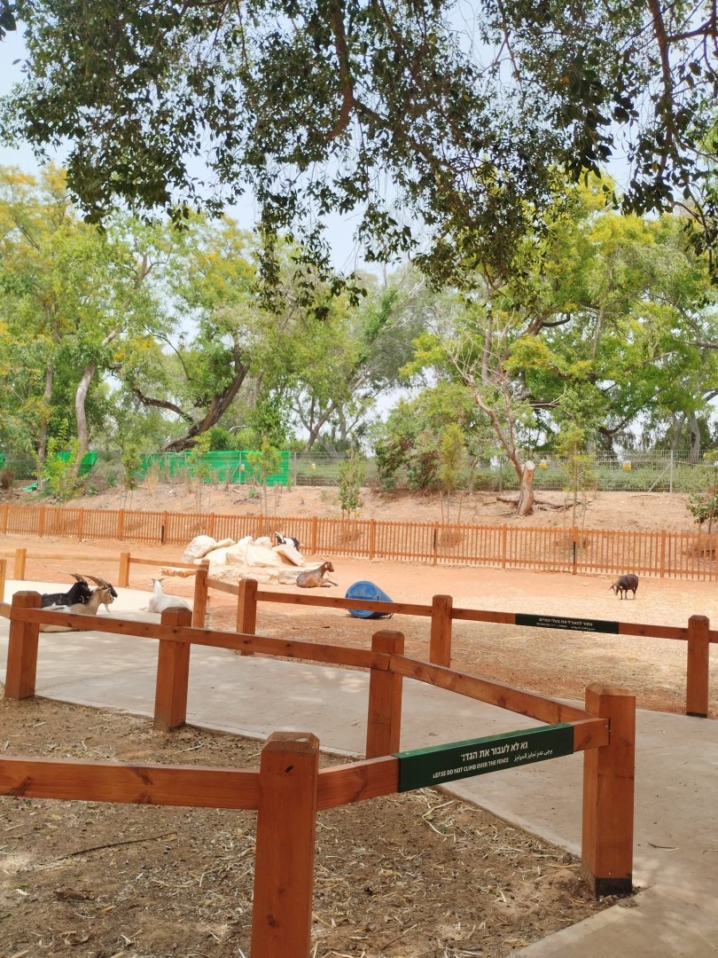 New petting zoo area 1