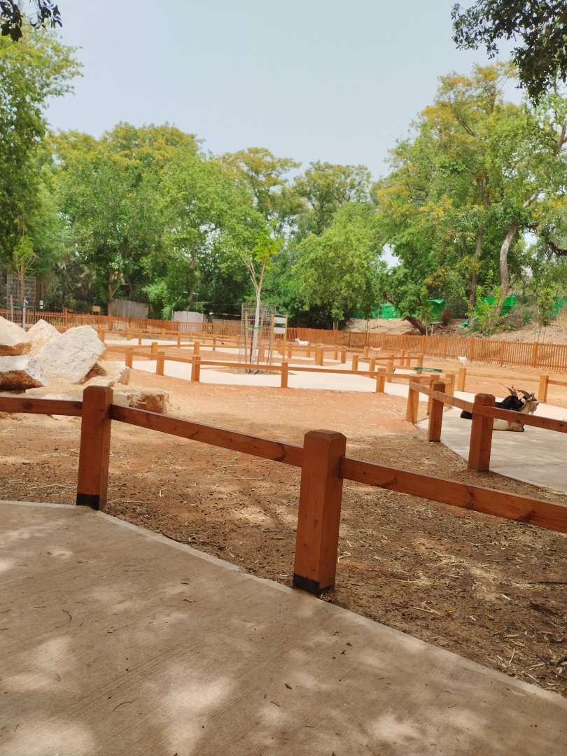 New petting zoo area 2