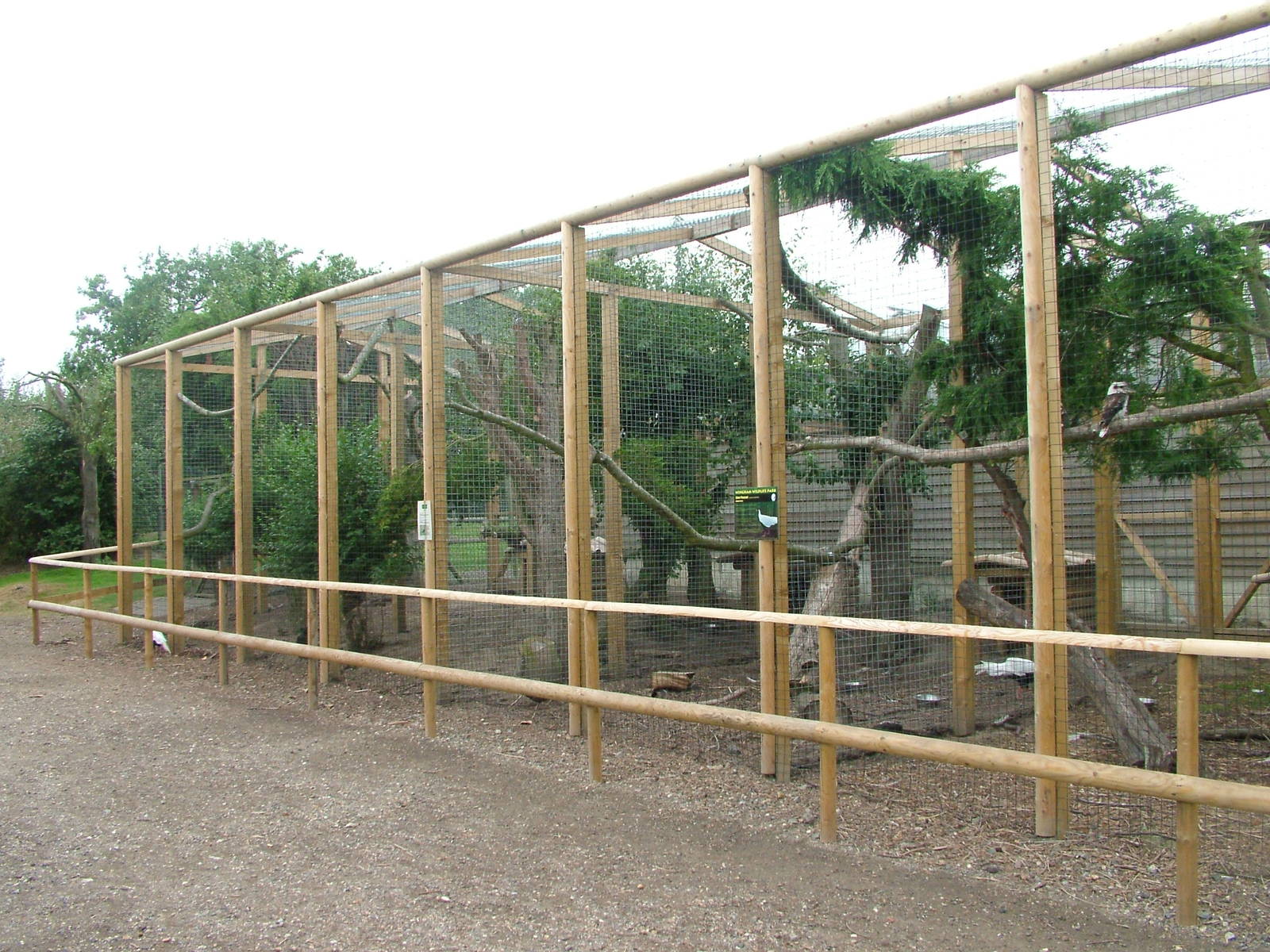 New Pheasant Aviaries at Wingham WP, 31/07/10