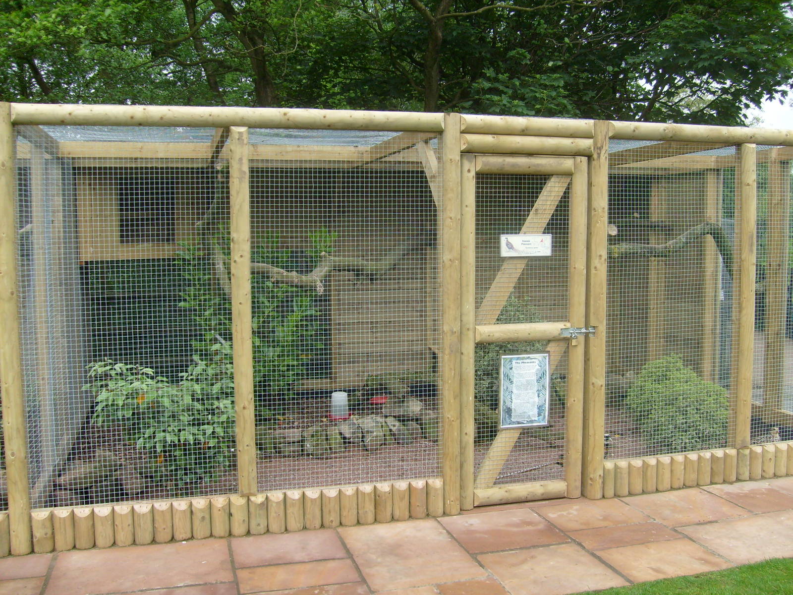 New pheasant enclosures