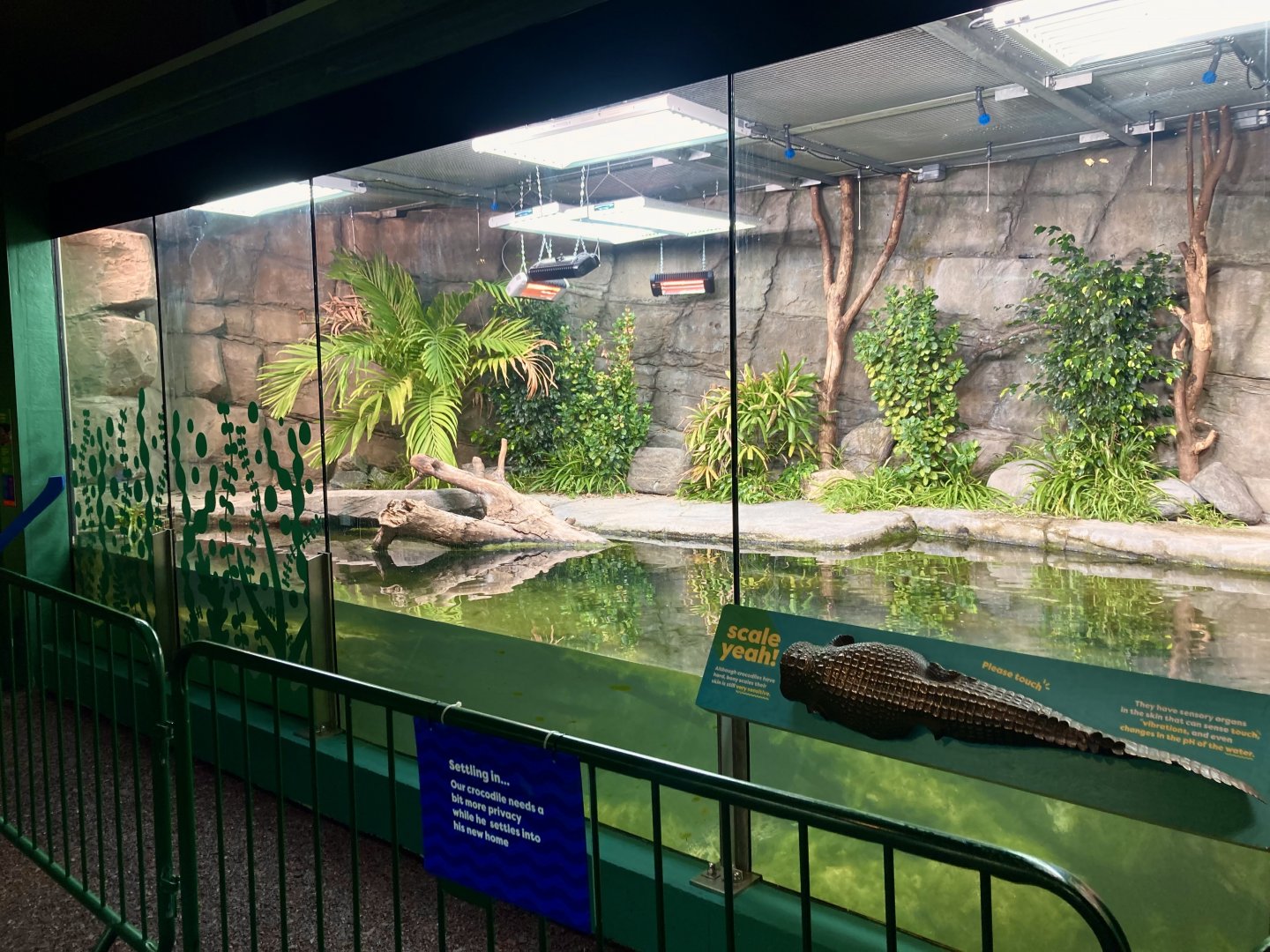 New Philippine crocodile exhibit