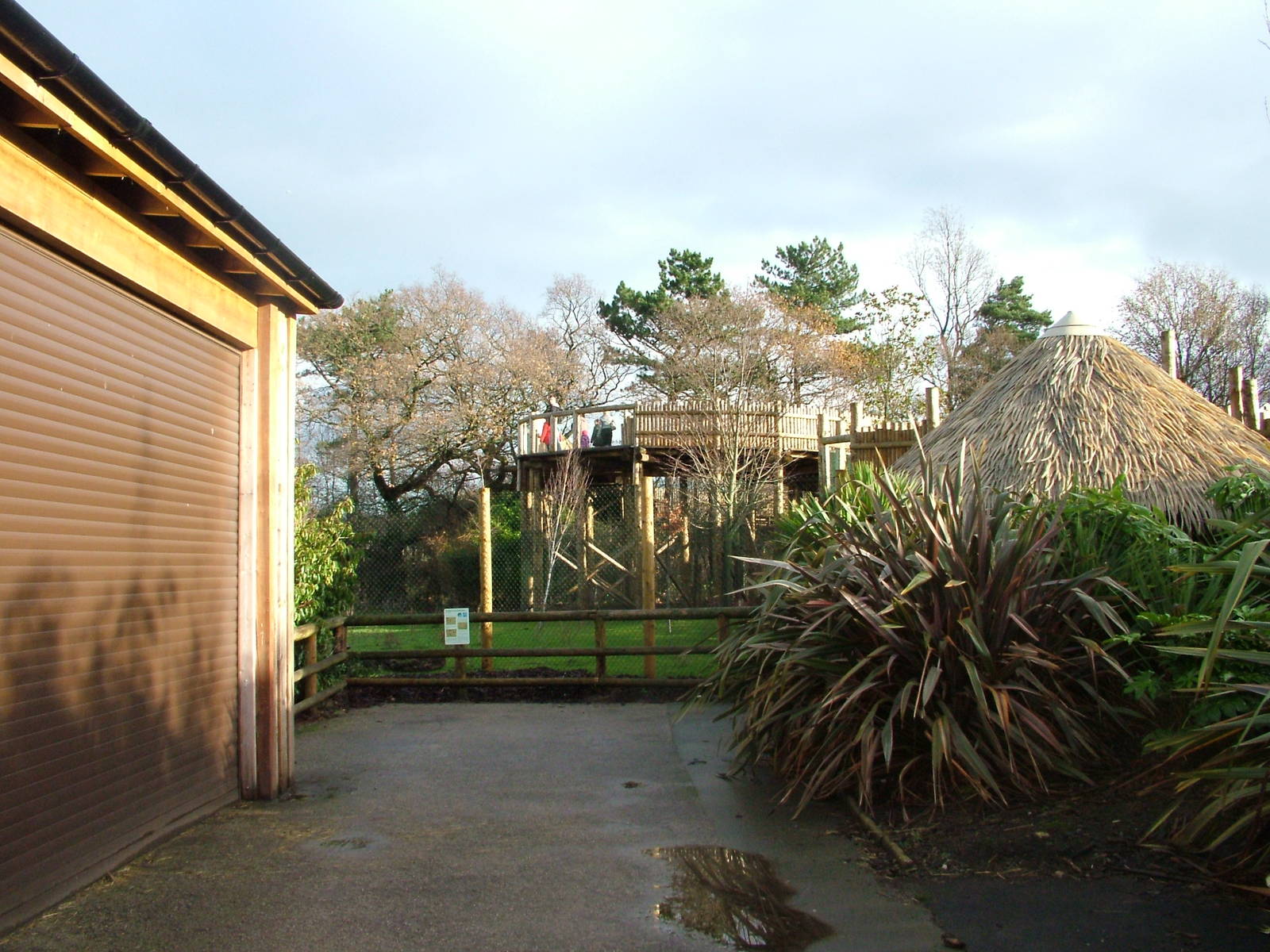 New Philippine Spotted Deer viewing at Chester 06/12/09