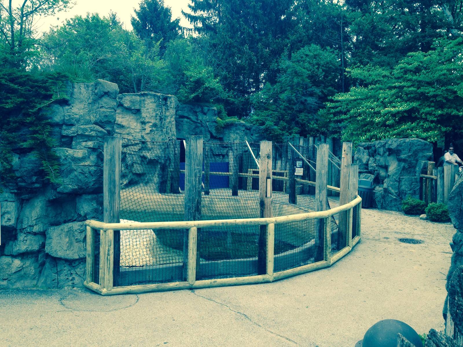 New Pinniped fencing.