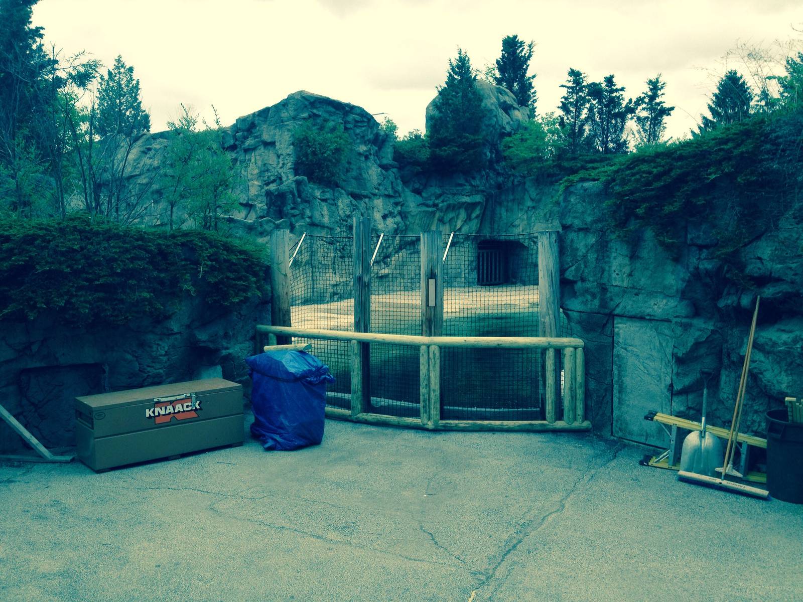 New Pinniped fencing.