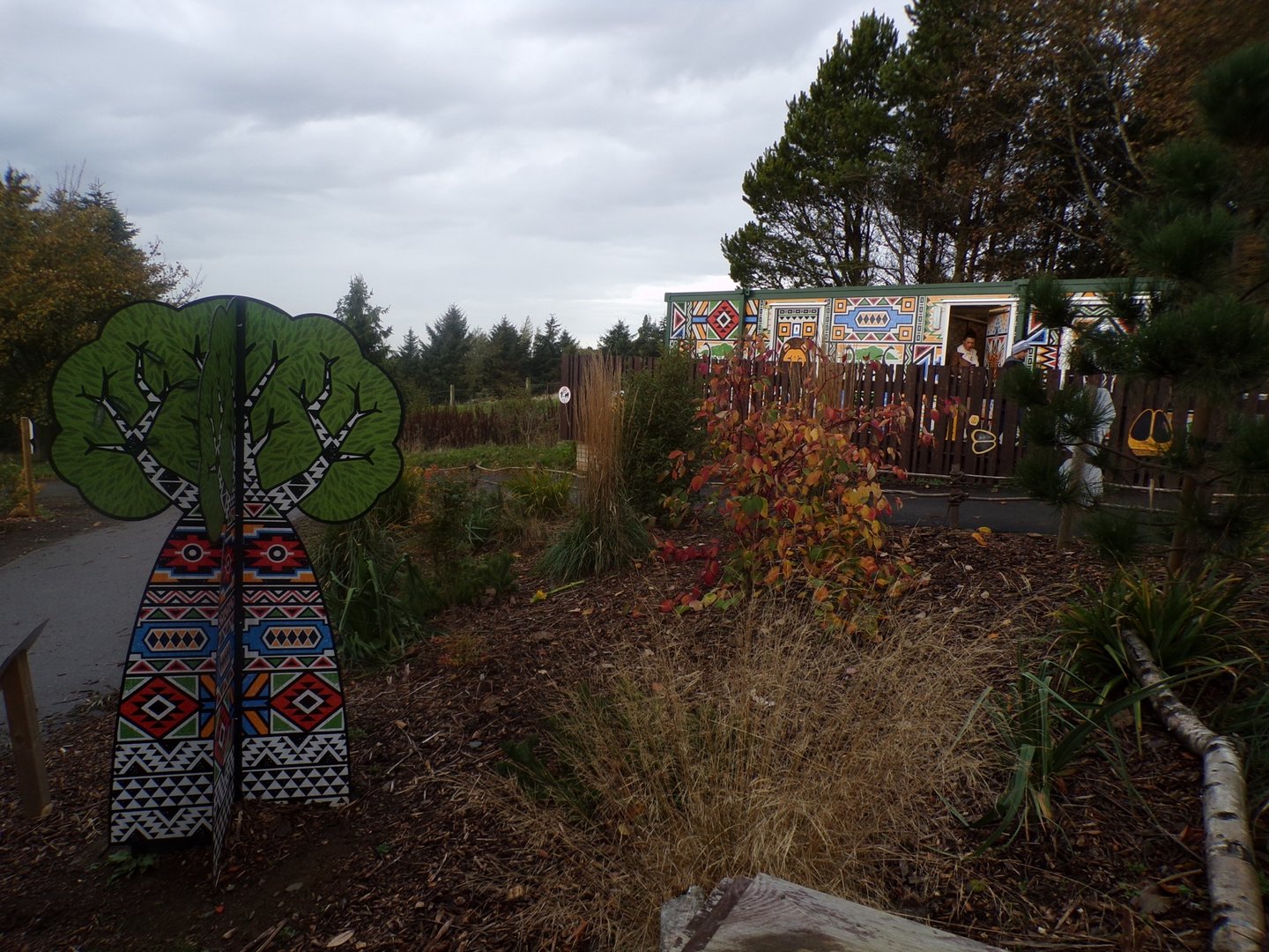 New plants outside giraffe house