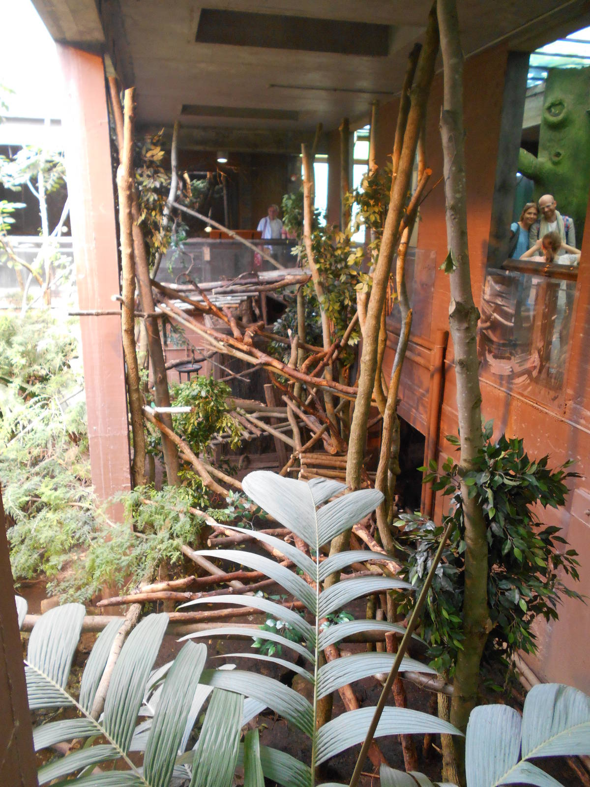 New platforms, 9th July 2016