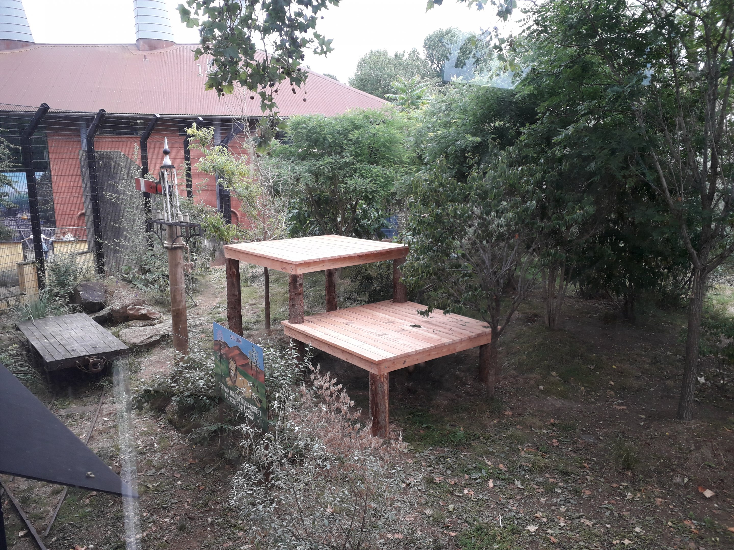 New platforms in second Asiatic Lion enclosure