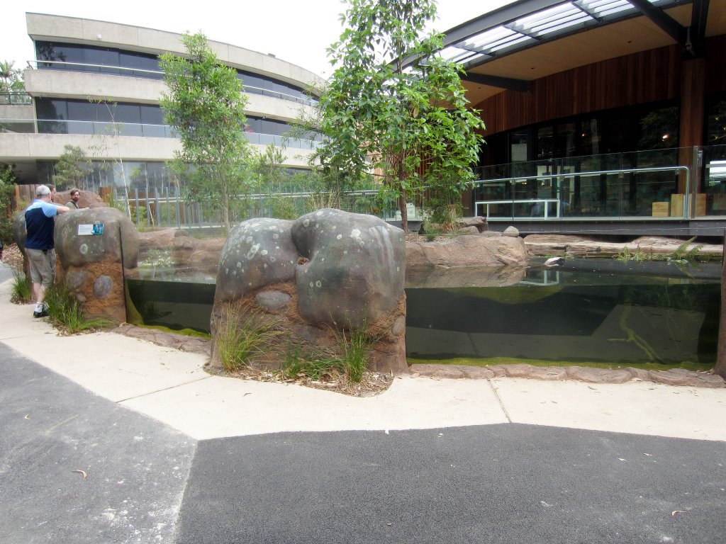 New platypus exhibit