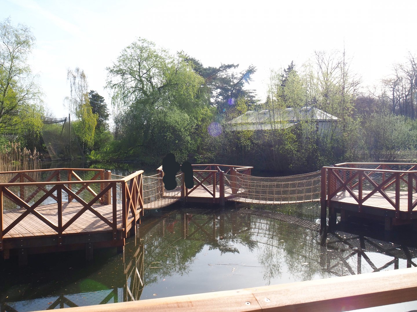 New play area above the pond, 2022-04-12