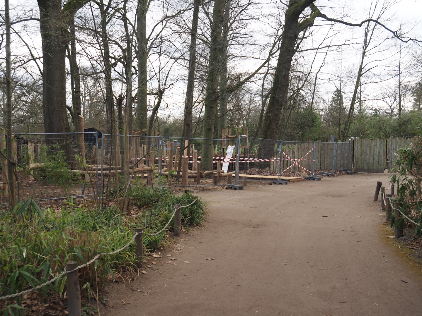 New playground construction between the wisent and red panda exhibits, 2025-03-23