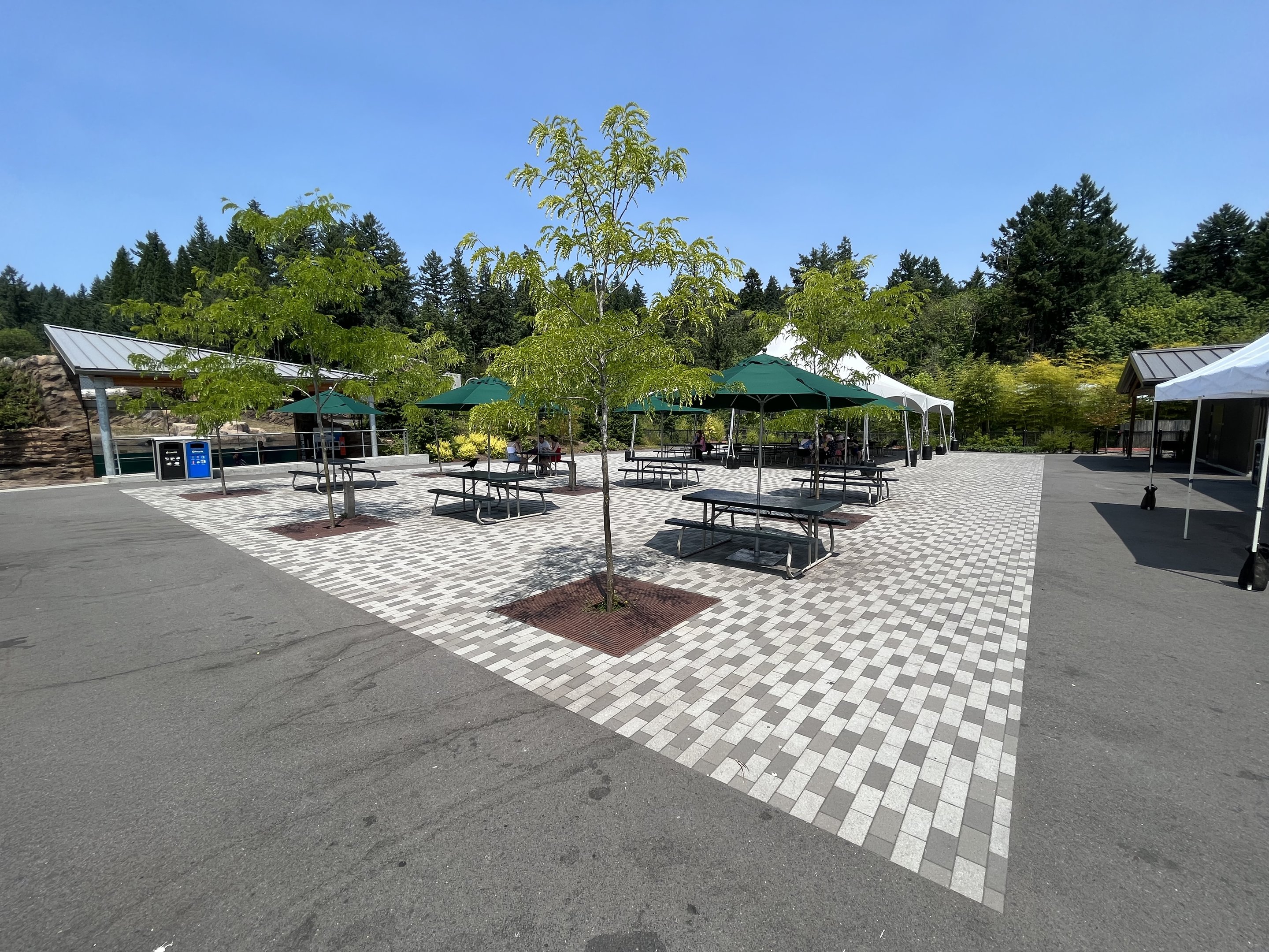 New Plaza (next to Polar Passage)