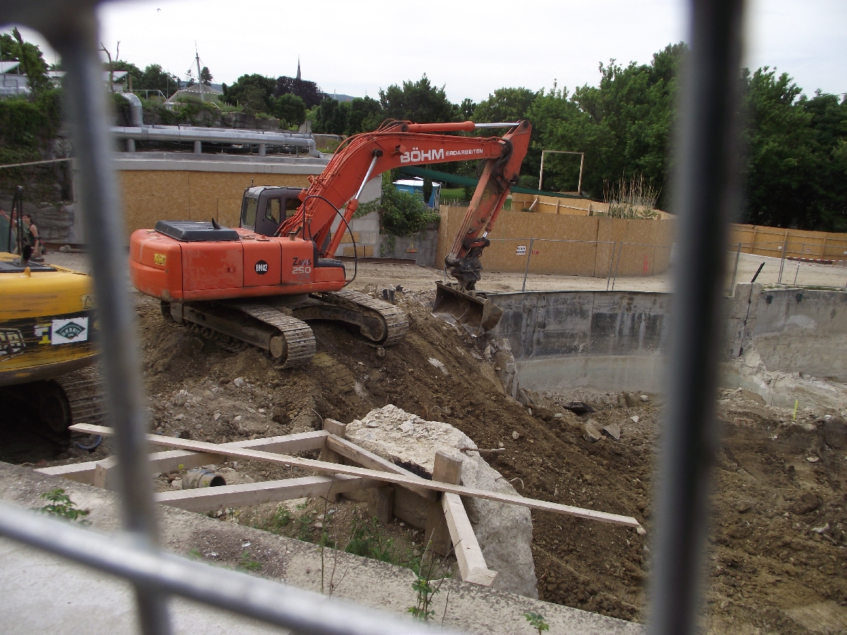 New Polar Bear Enclosure Building Work