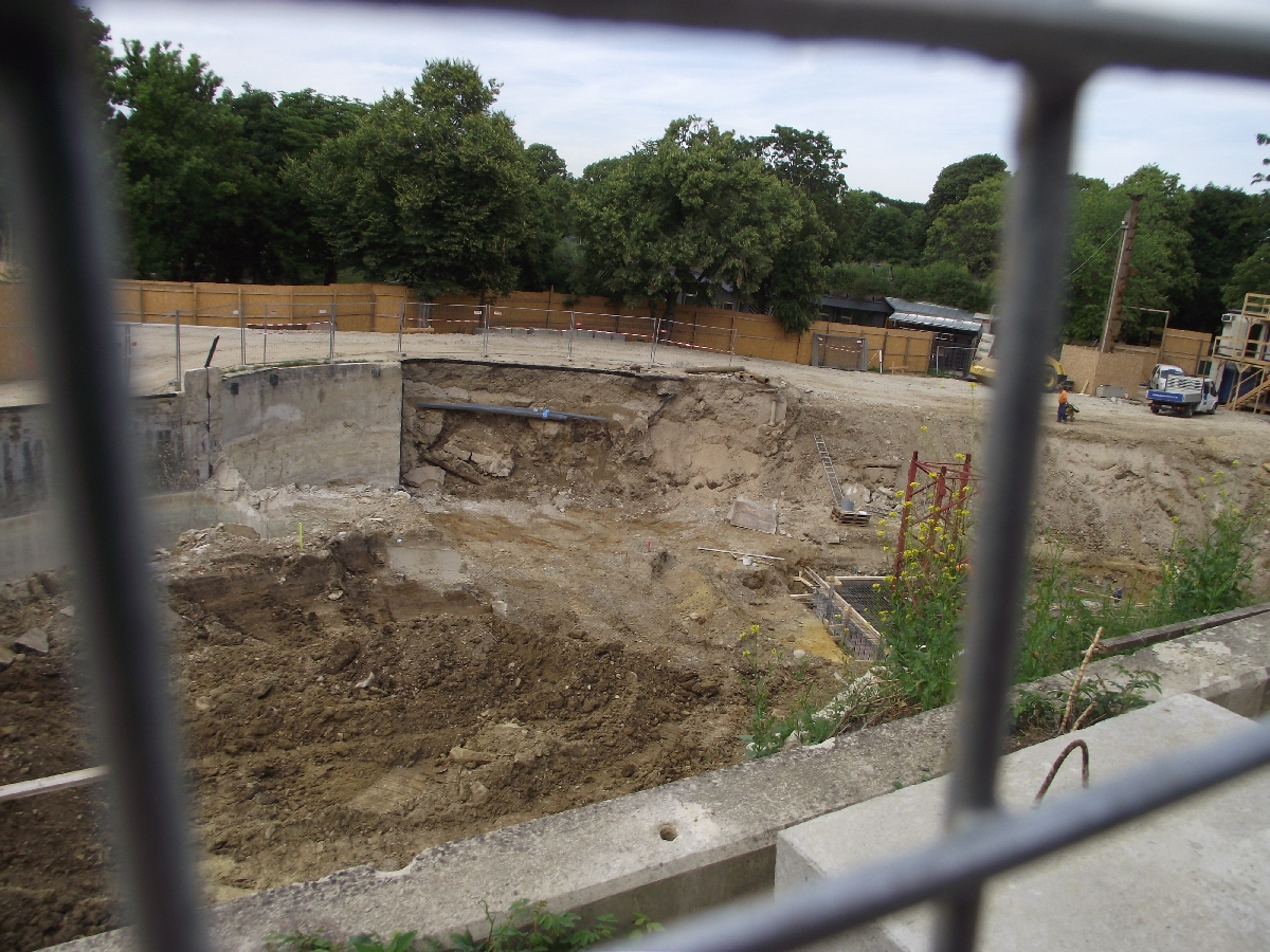 New Polar Bear Enclosure Building Work