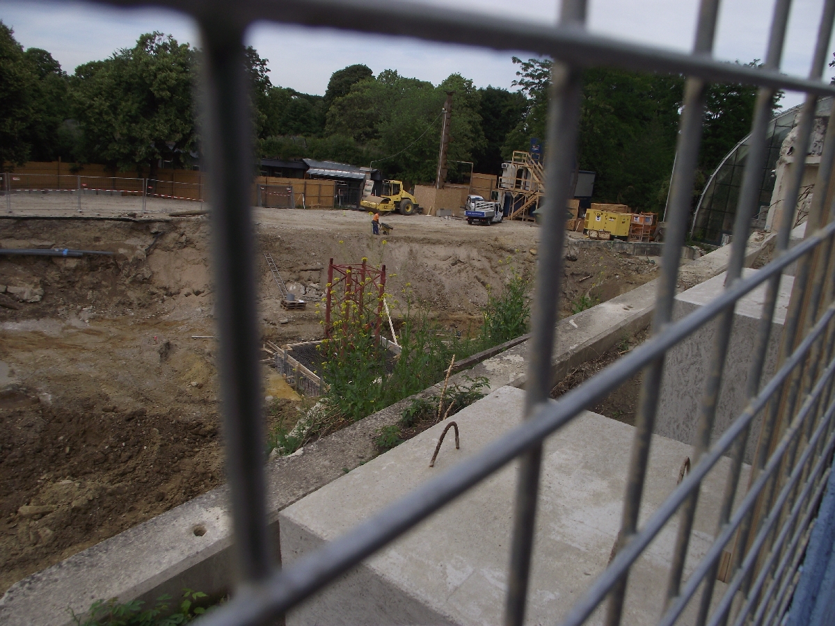 New Polar Bear Enclosure Building Work