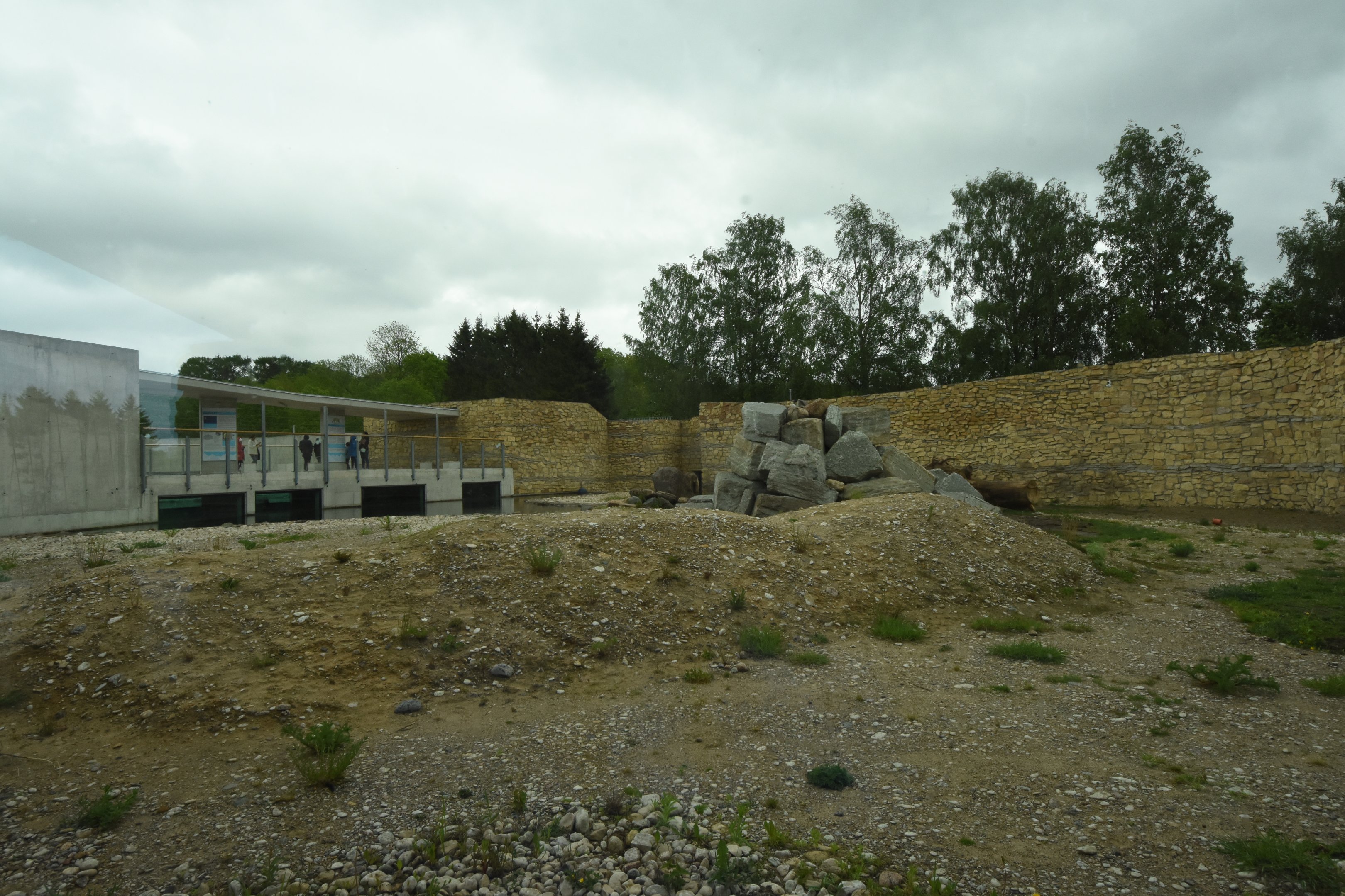 New Polar bear enclosure - enclosure 1