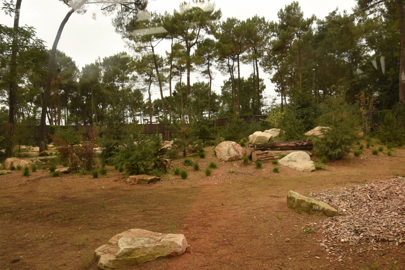 New Polar Bear enclosure extension