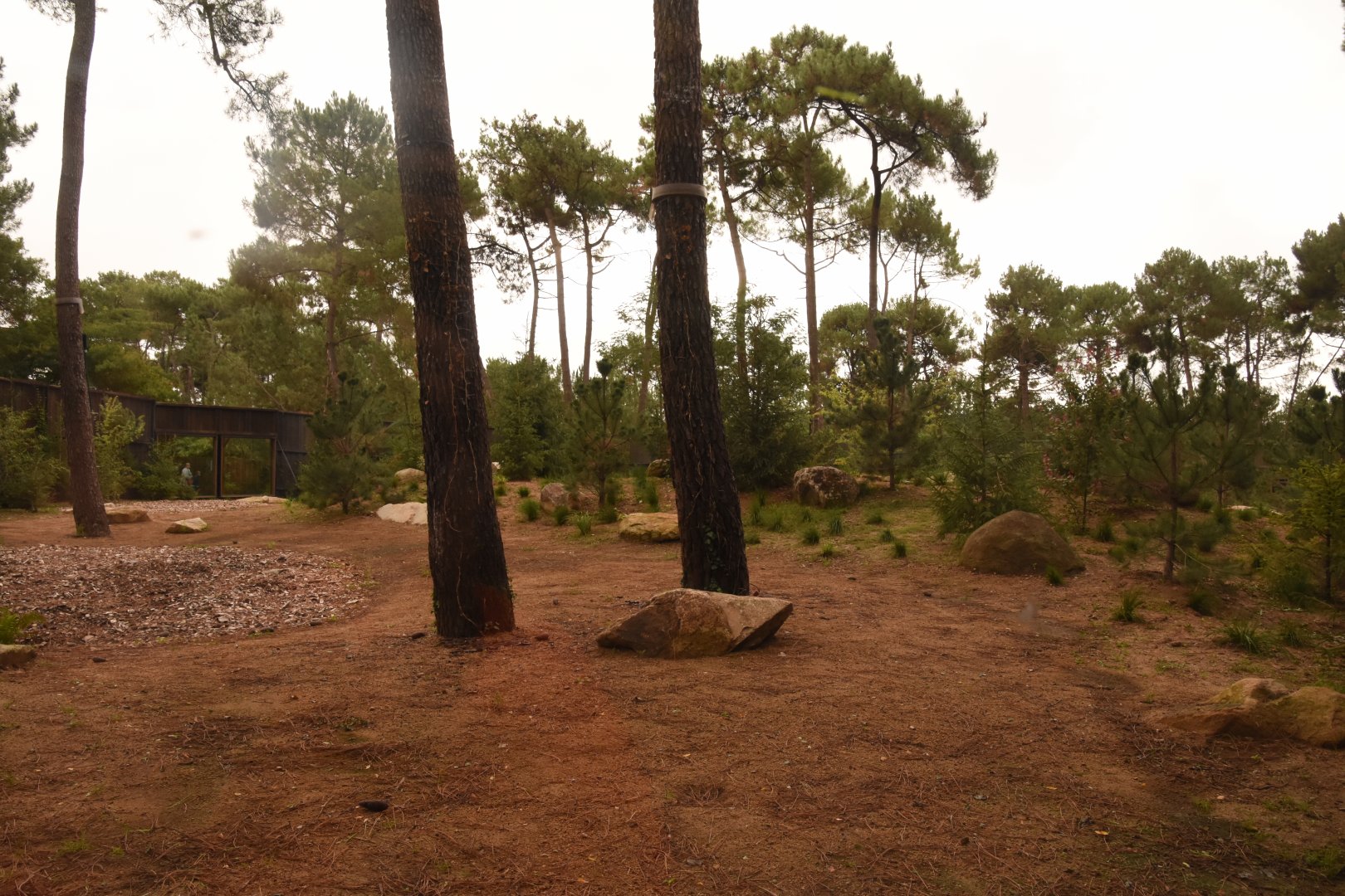 New Polar Bear enclosure extension