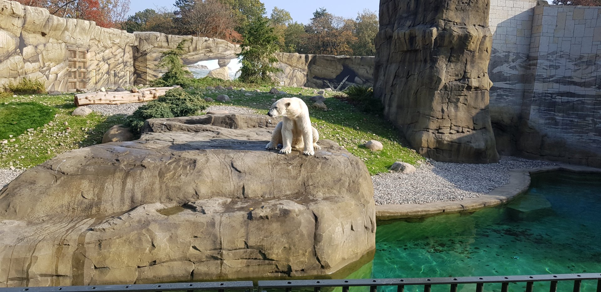 New polar bear enclosure
