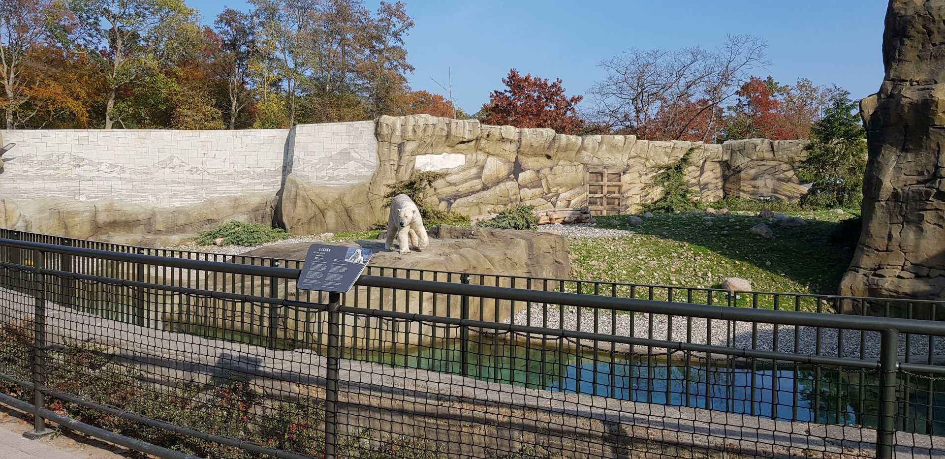 New polar bear enclosure