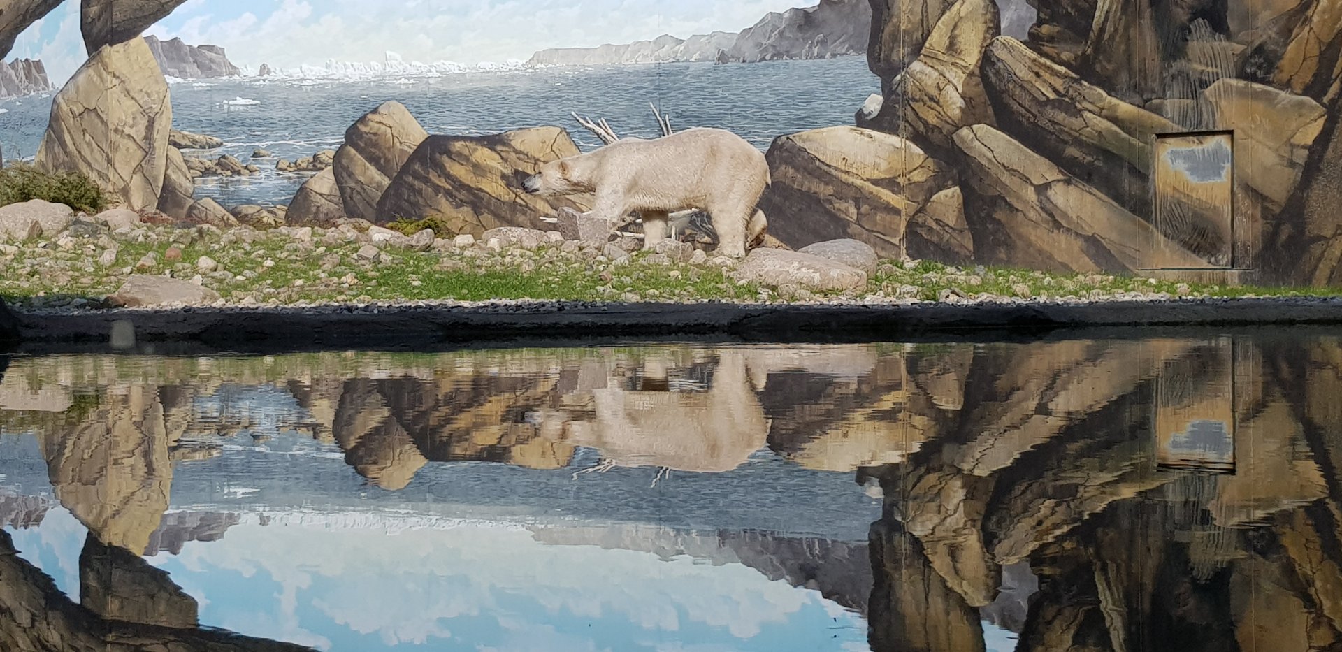 New polar bear enclosure