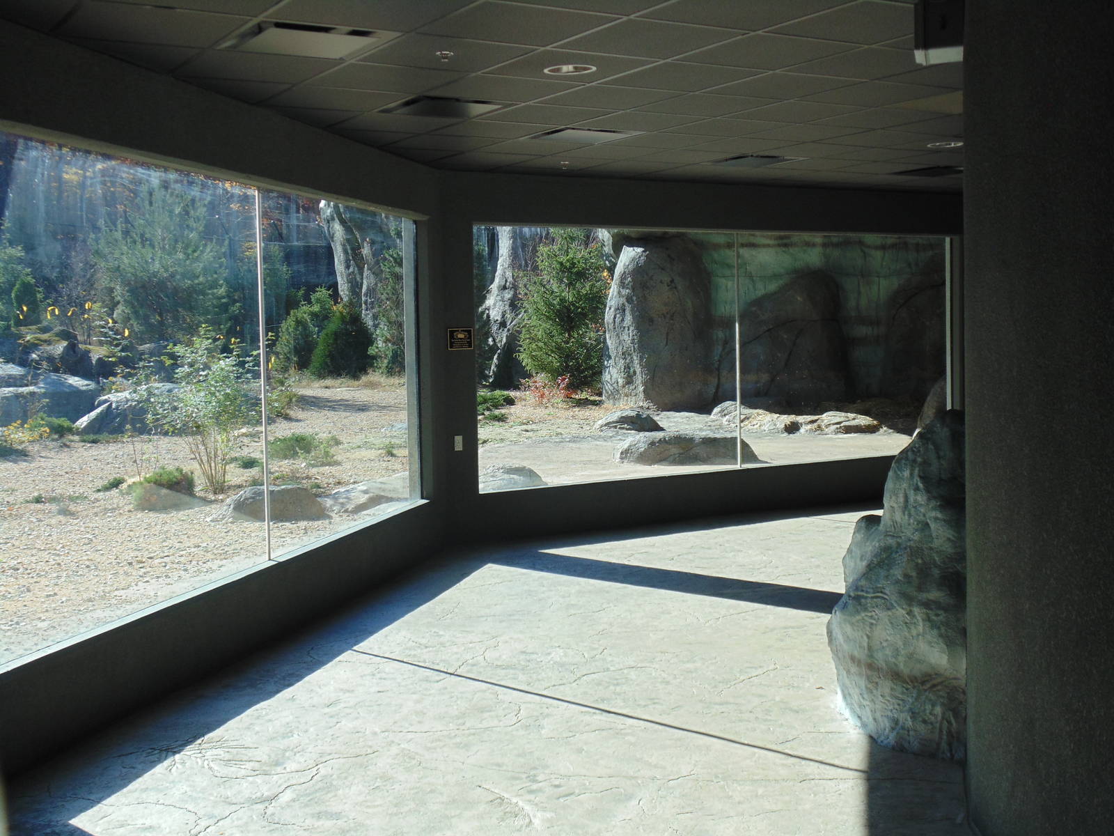 New Polar Bear Exhibit