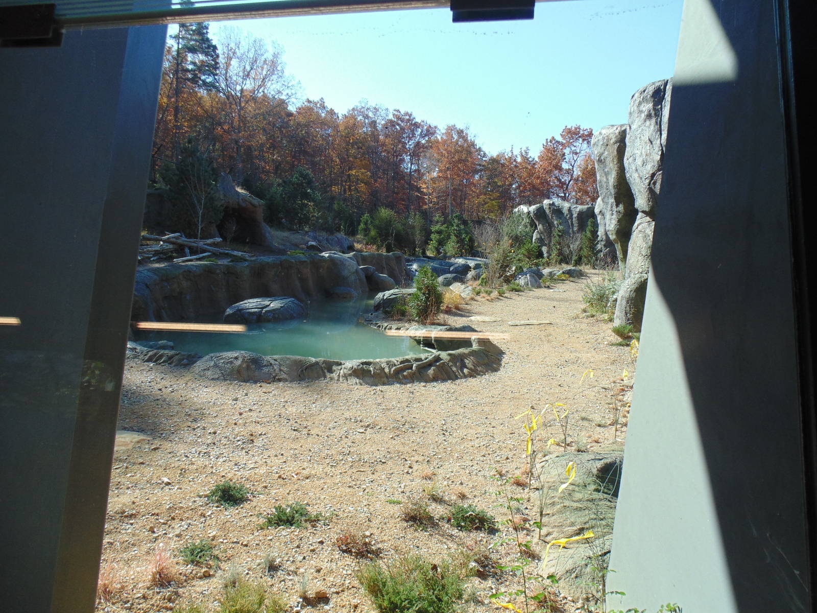 New Polar Bear Exhibit